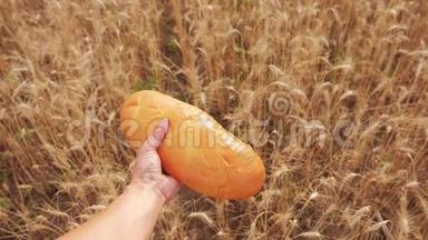 农夫持面包第一人称观。 人在麦田里拿着一条面包。 慢动作视频。 成功成功成功